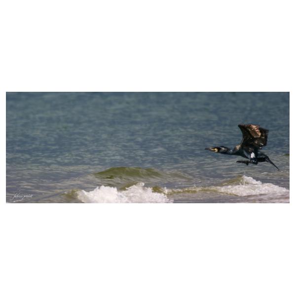 PHOTO84, CLUB, 84 , LUBERON